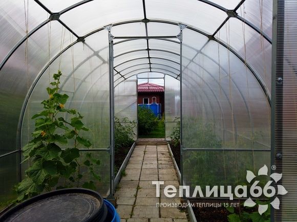 Арочная теплица Рада Макси